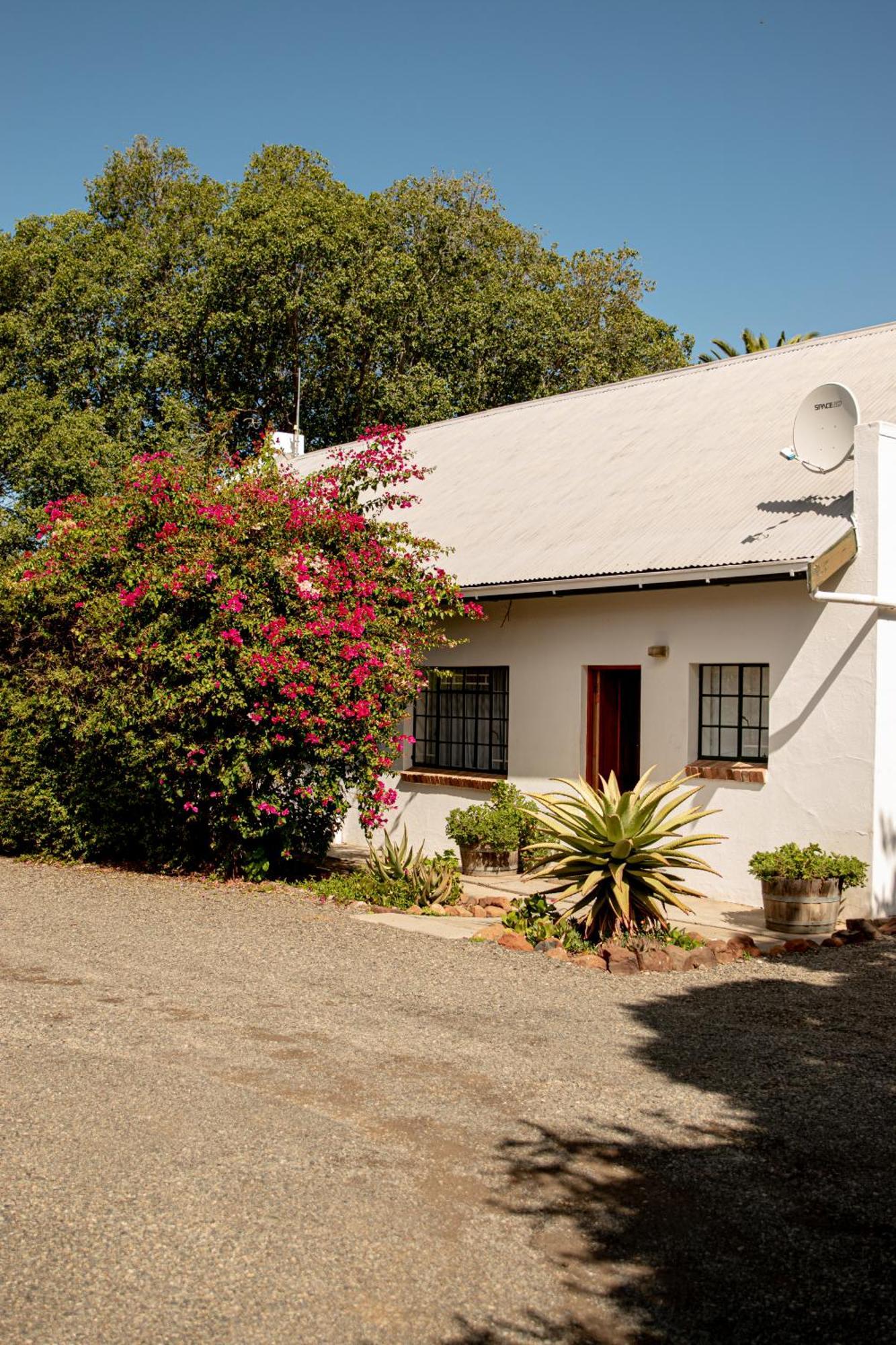 4 Rothman Street B&B Graaff-Reinet Dış mekan fotoğraf