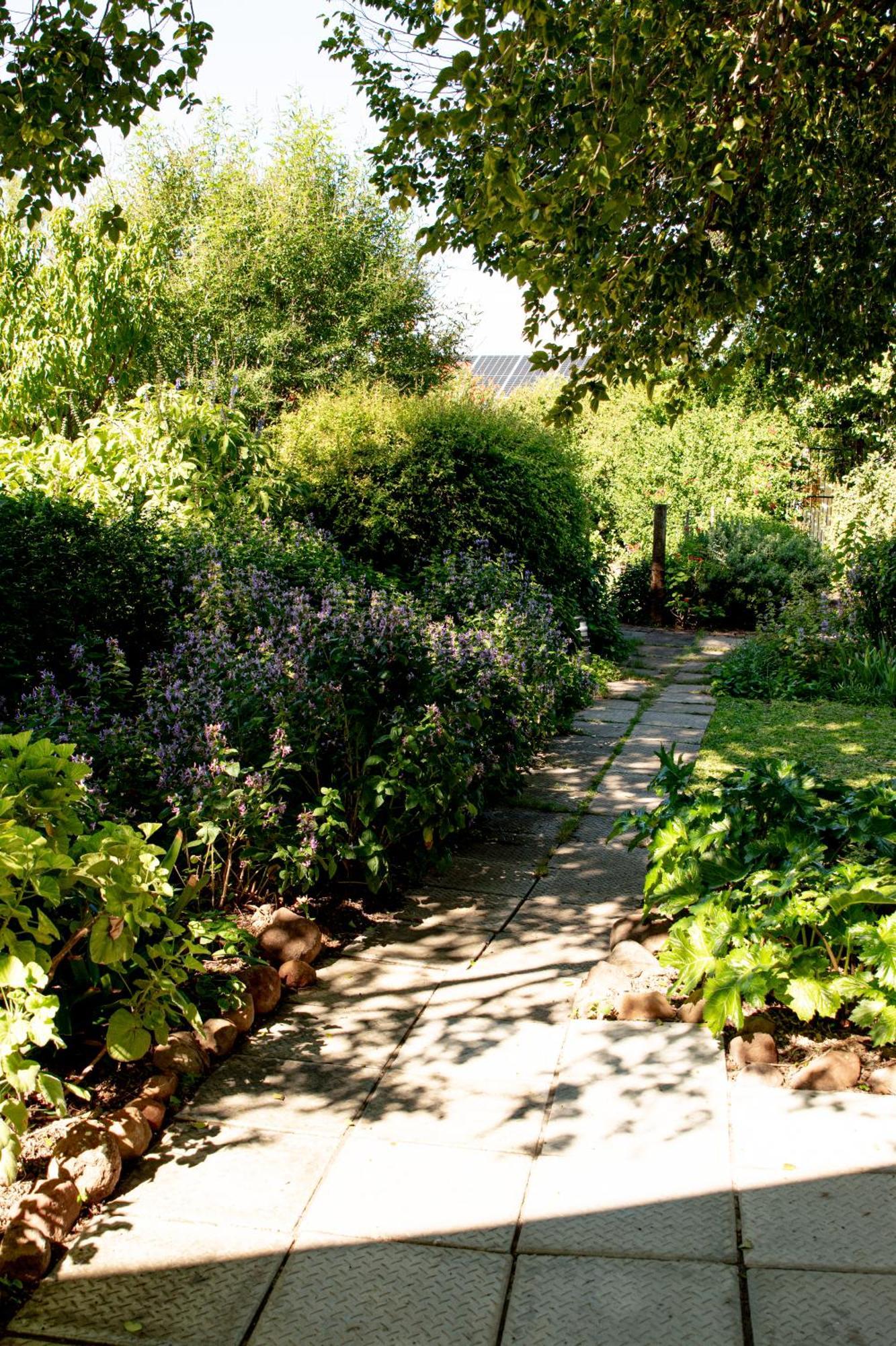 4 Rothman Street B&B Graaff-Reinet Dış mekan fotoğraf